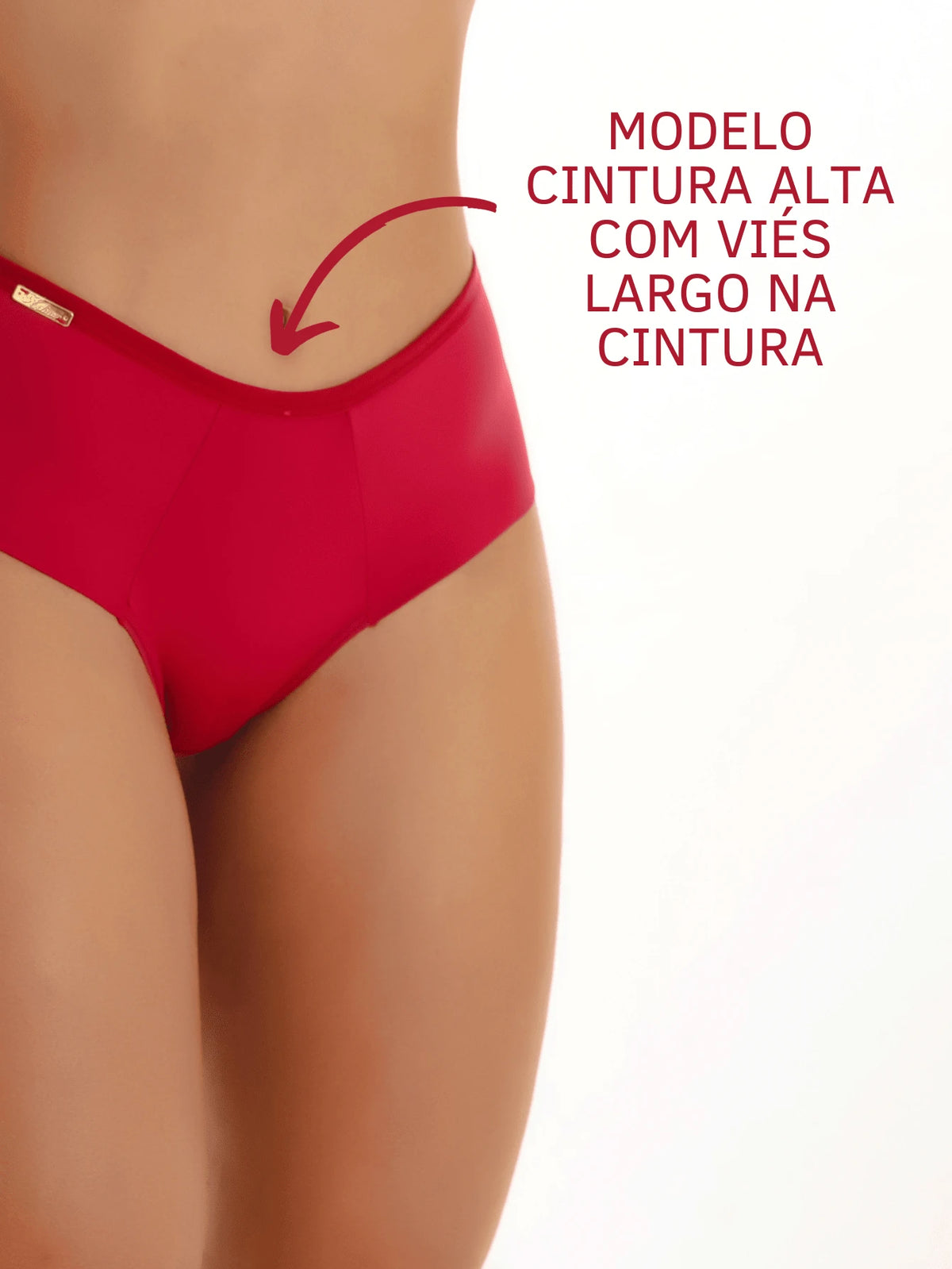 Vendedor IndicadoKit 5 Calcinhas Paula Microfibra Cintura Alta Fio Duplo